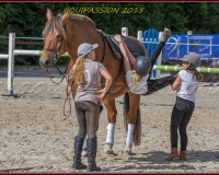 1-13JUIN 0751